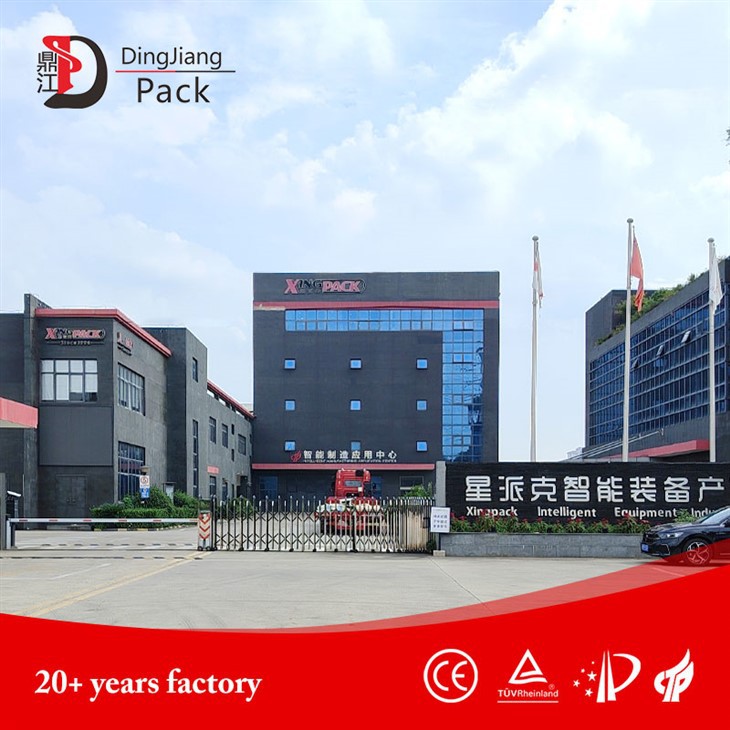 Vertical Bag Packaging and Palletizing Line best